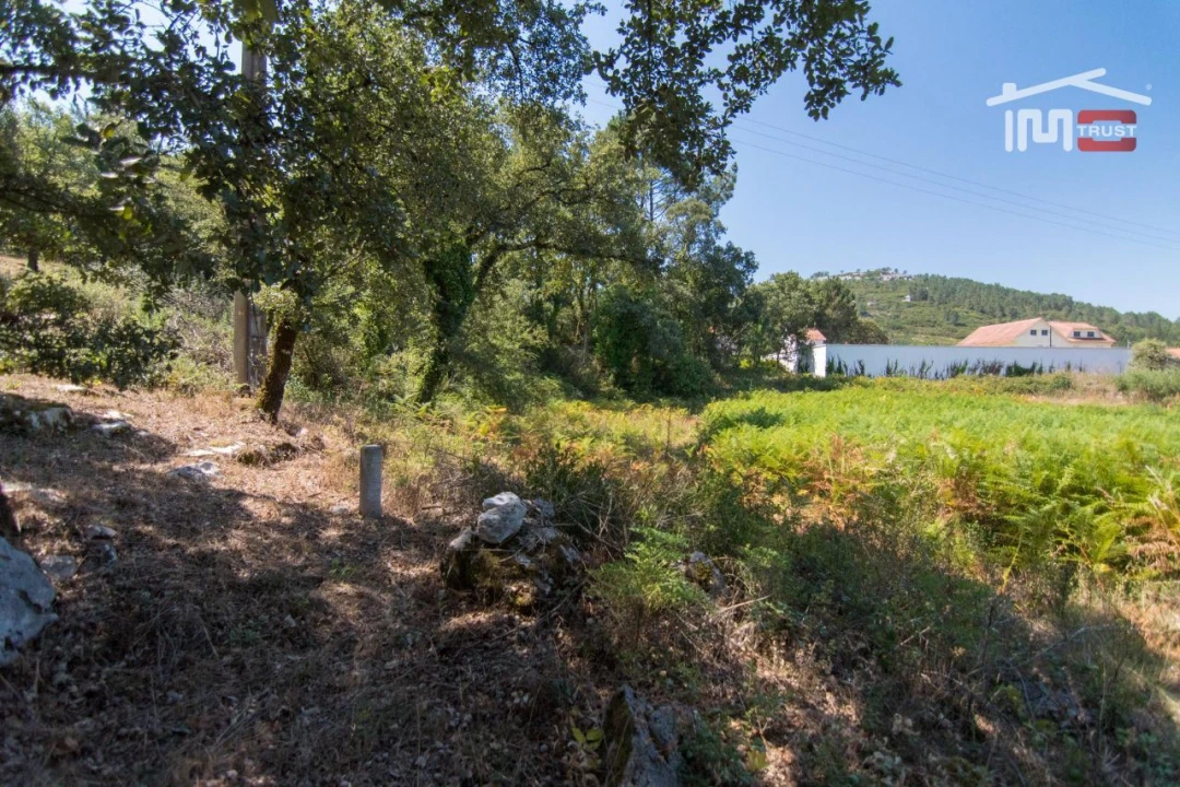 Terreno Agricola ou Rústico para Venda em Alqueidão da Serra Foto 2