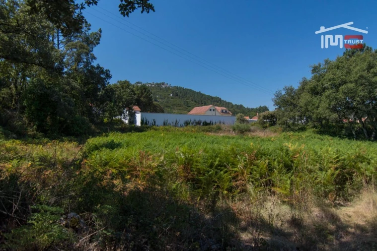 Terreno Agricola ou Rústico para Venda em Alqueidão da Serra Foto 3