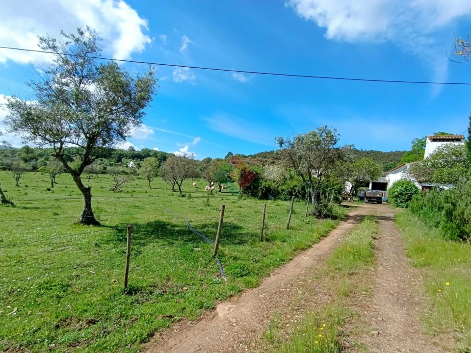 Quinta T4 para Venda em São Salvador da Aramenha Foto 3
