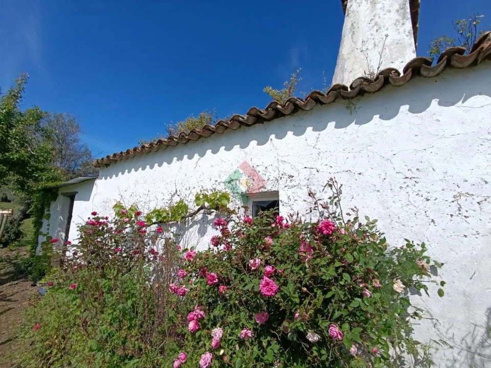 Quinta T4 para Venda em São Salvador da Aramenha Foto 8