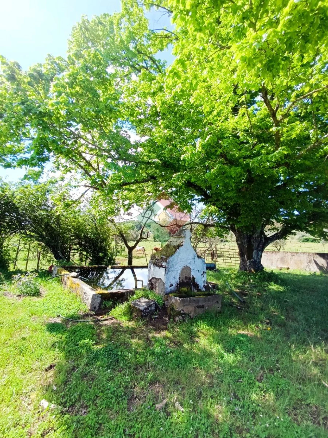 Quinta T4 para Venda em São Salvador da Aramenha Foto 25