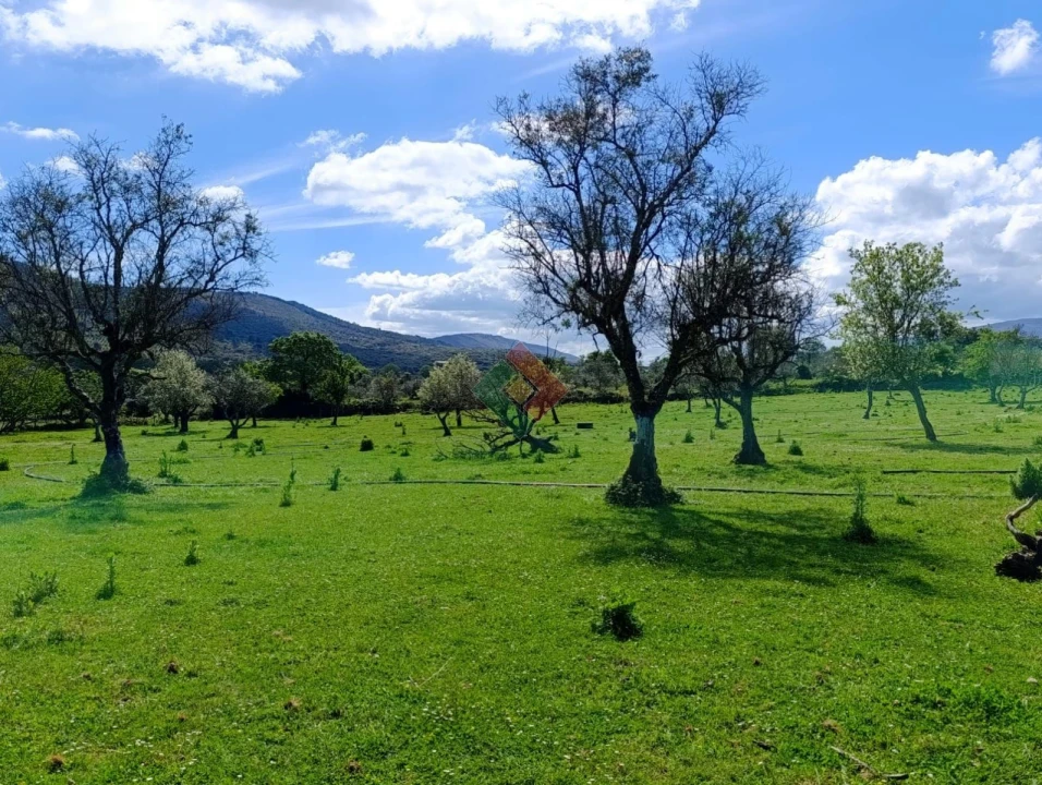 Quinta T4 para Venda em São Salvador da Aramenha Foto 27