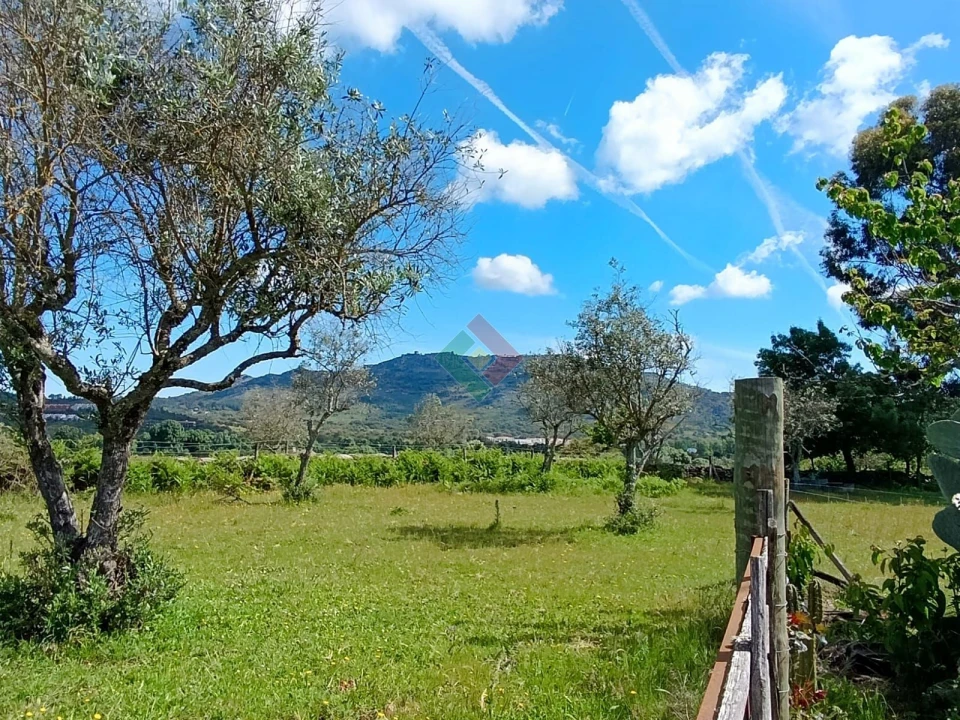 Quinta T4 para Venda em São Salvador da Aramenha Foto 28