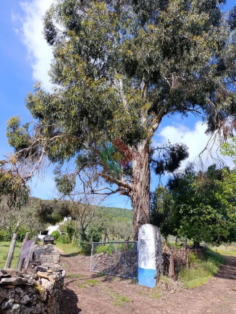 Quinta T4 para Venda em São Salvador da Aramenha