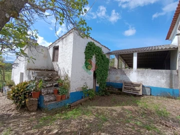 Quinta T4 para Venda em São Salvador da Aramenha