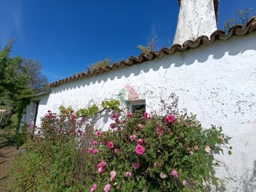 Quinta T4 para Venda em São Salvador da Aramenha