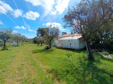 Quinta T4 para Venda em São Salvador da Aramenha
