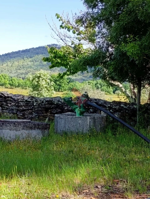 Quinta T4 para Venda em São Salvador da Aramenha