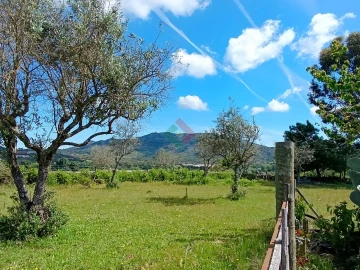 Quinta T4 para Venda em São Salvador da Aramenha