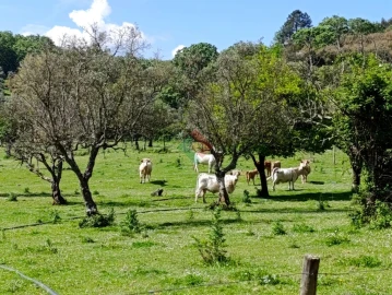 Quinta T4 para Venda em São Salvador da Aramenha