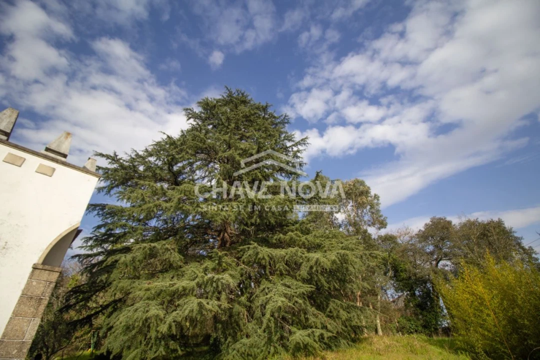 Quinta T5 para Venda em Vila das Aves Foto 13