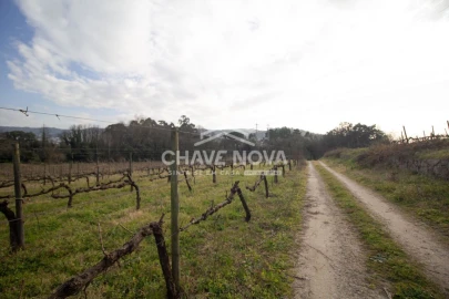 Quinta T5 para Venda em Vila das Aves