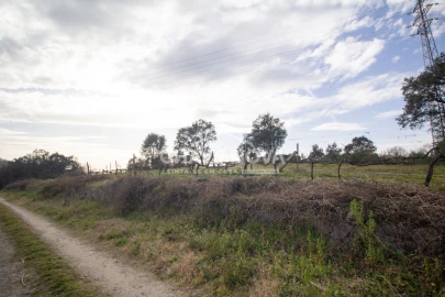 Quinta T5 para Venda em Vila das Aves