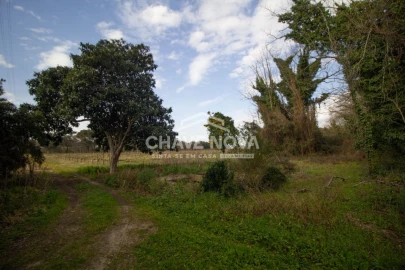 Quinta T5 para Venda em Vila das Aves