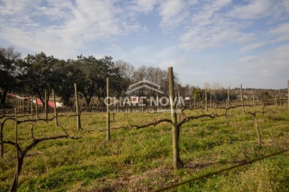 Quinta T5 para Venda em Vila das Aves