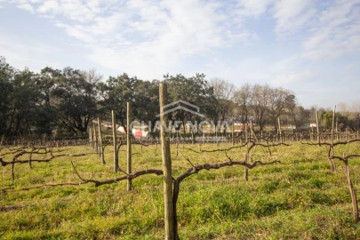 Quinta T5 para Venda em Vila das Aves