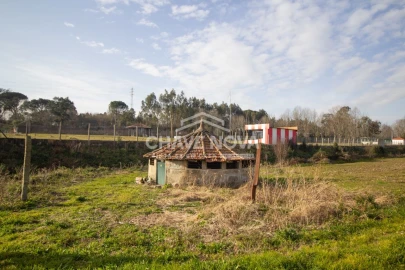 Quinta T5 para Venda em Vila das Aves