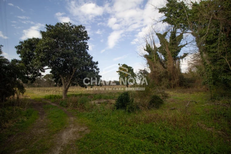 Quinta T5 para Venda em Vila das Aves Foto 19