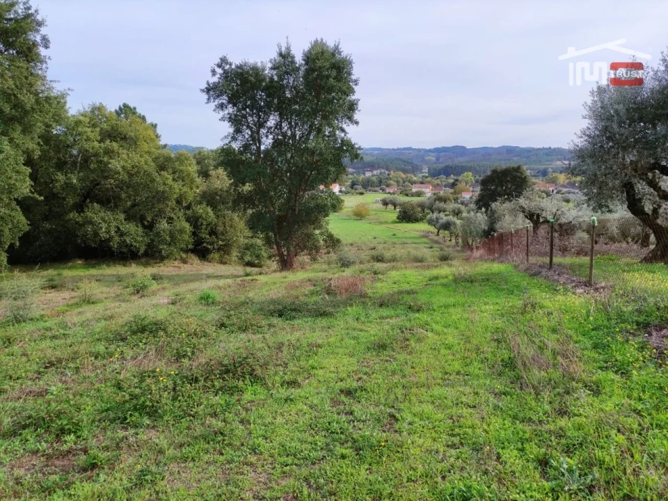 Terreno Agricola ou Rústico para Venda em Nossa Senhora da Piedade Foto 1