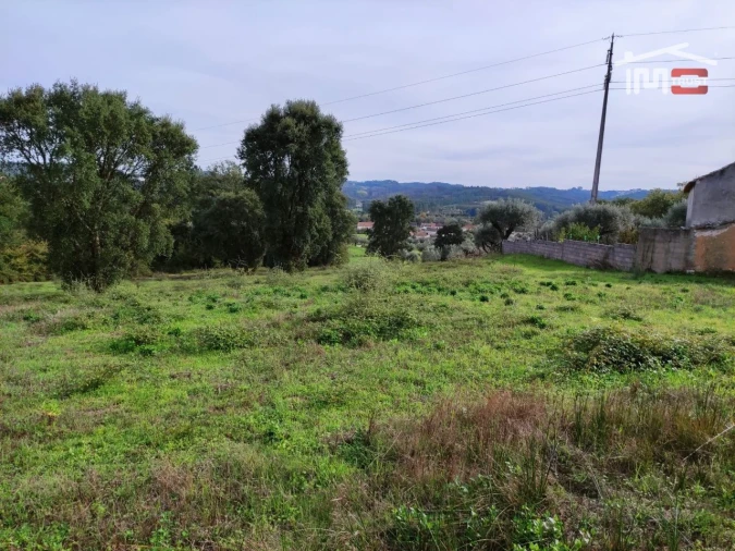 Terreno Agricola ou Rústico para Venda em Nossa Senhora da Piedade Foto 4