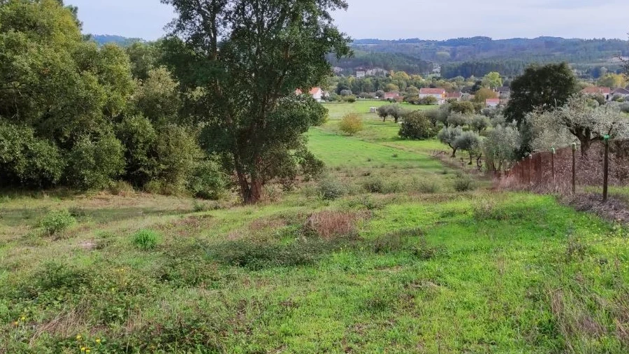 Terreno Agricola ou Rústico para Venda em Nossa Senhora da Piedade