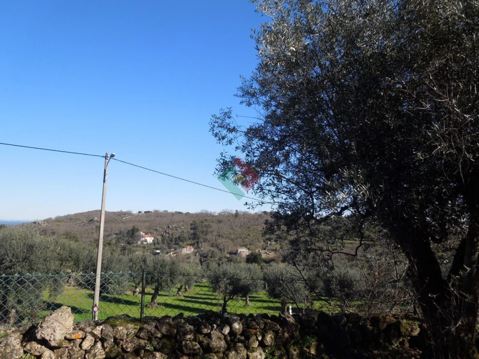 Armazém para Venda em Santa Maria da Devesa Foto 7