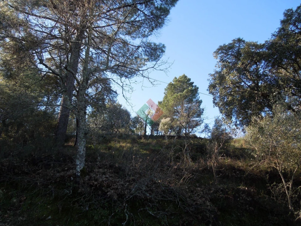 Armazém para Venda em Santa Maria da Devesa Foto 8