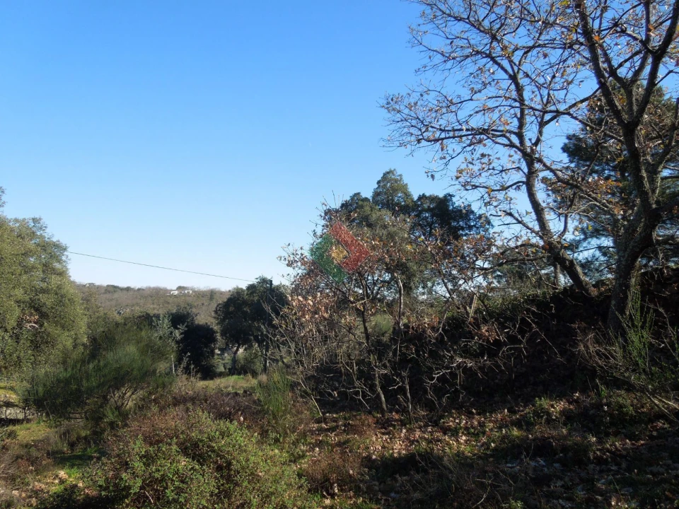 Armazém para Venda em Santa Maria da Devesa Foto 10