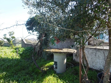 Armazém para Venda em Santa Maria da Devesa