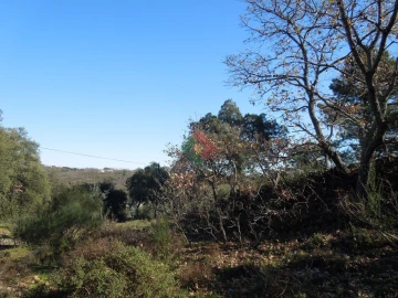 Armazém para Venda em Santa Maria da Devesa