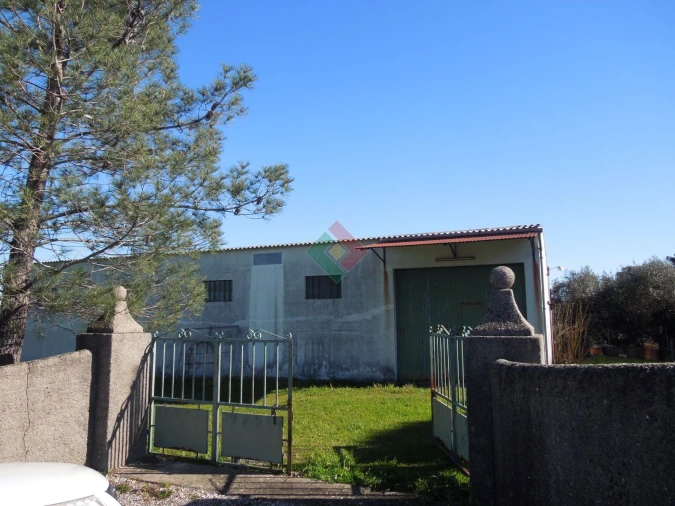 Armazém para Venda em Santa Maria da Devesa Foto 3