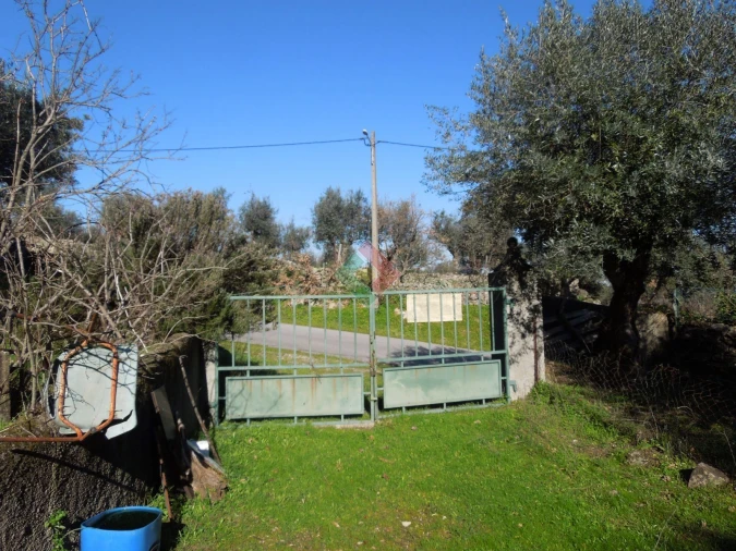 Armazém para Venda em Santa Maria da Devesa Foto 4