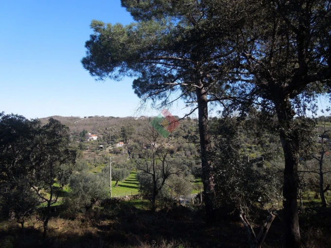 Armazém para Venda em Santa Maria da Devesa Foto 9
