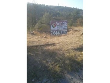 Terreno Agricola ou Rústico para Venda em Montargil