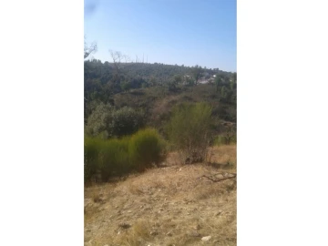 Terreno Agricola ou Rústico para Venda em Montargil