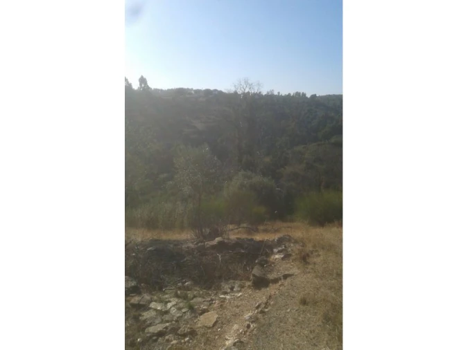 Terreno Agricola ou Rústico para Venda em Montargil Foto 4