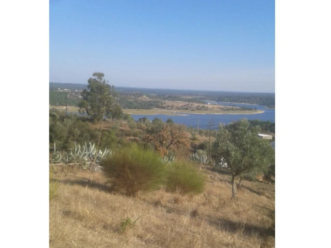 Terreno Agricola ou Rústico para Venda em Montargil Foto 6
