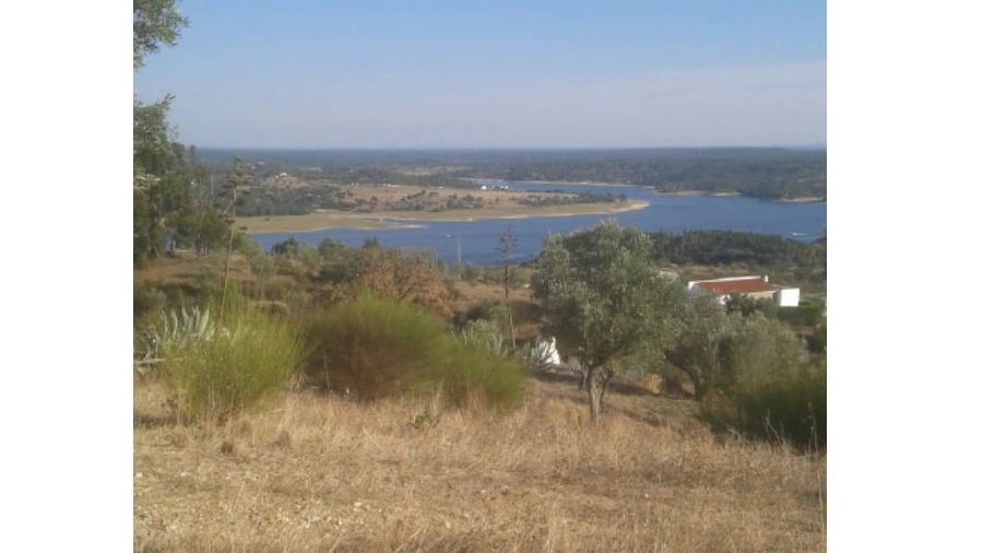 Terreno Agricola ou Rústico para Venda em Montargil