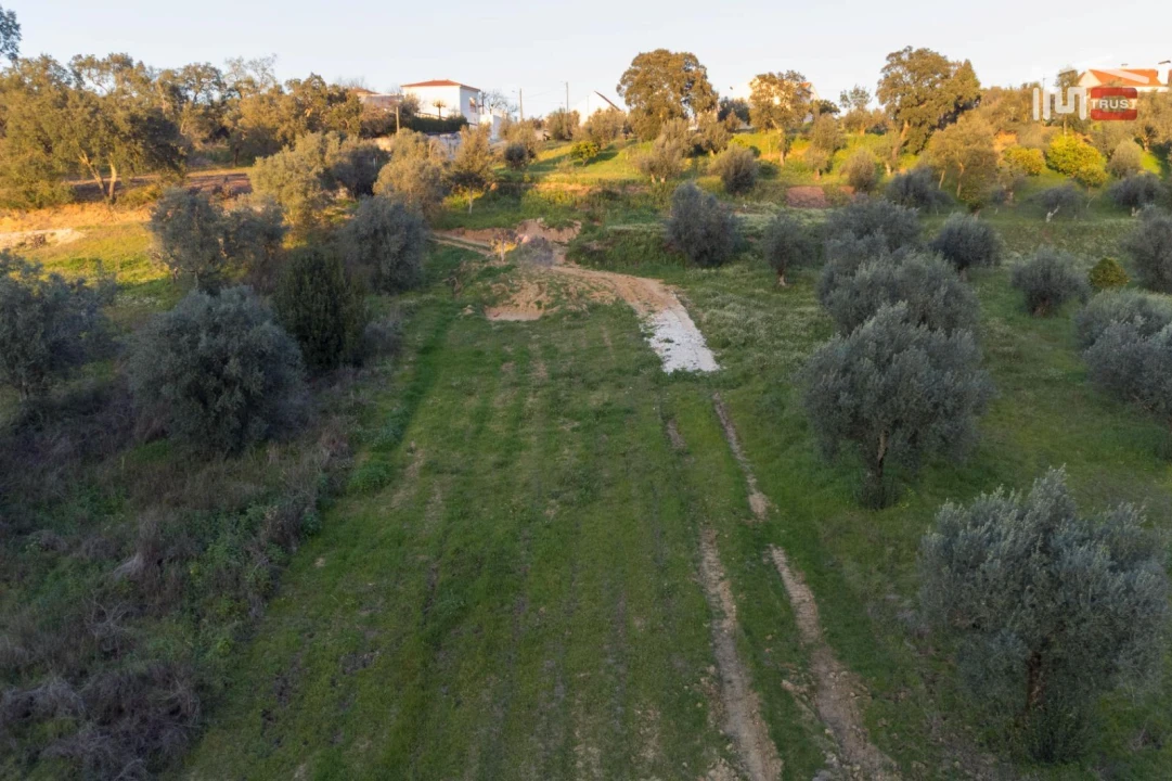 Terreno Agricola ou Rústico para Venda em Nossa Senhora da Piedade Foto 5