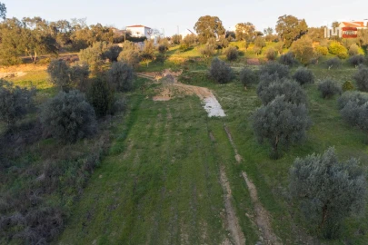 Terreno Agricola ou Rústico para Venda em Nossa Senhora da Piedade
