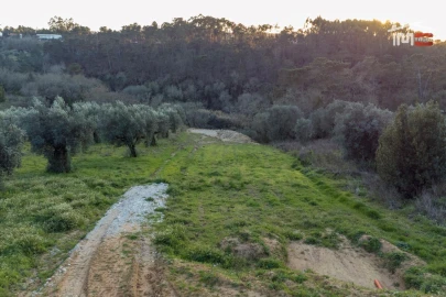Terreno Agricola ou Rústico para Venda em Nossa Senhora da Piedade