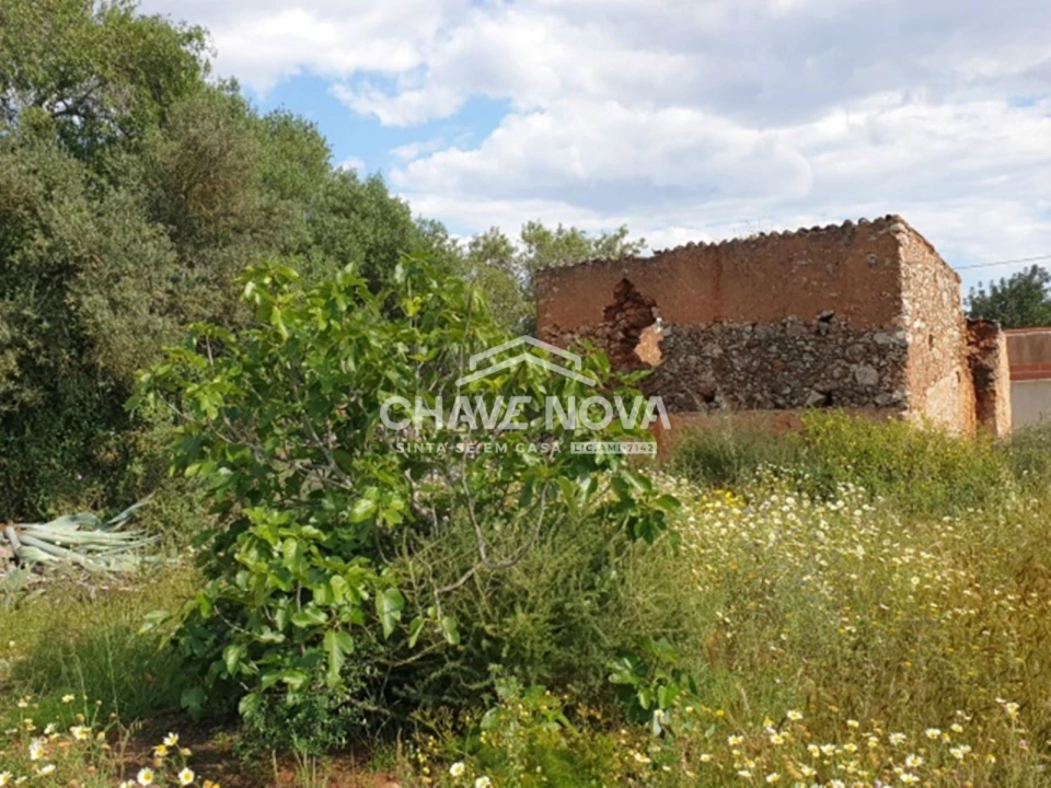 Terreno para Venda em São Bartolomeu de Messines Foto 1
