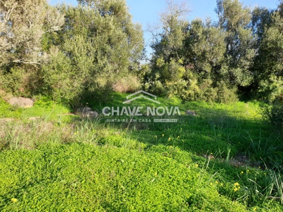 Terreno para Venda em São Bartolomeu de Messines Foto 3