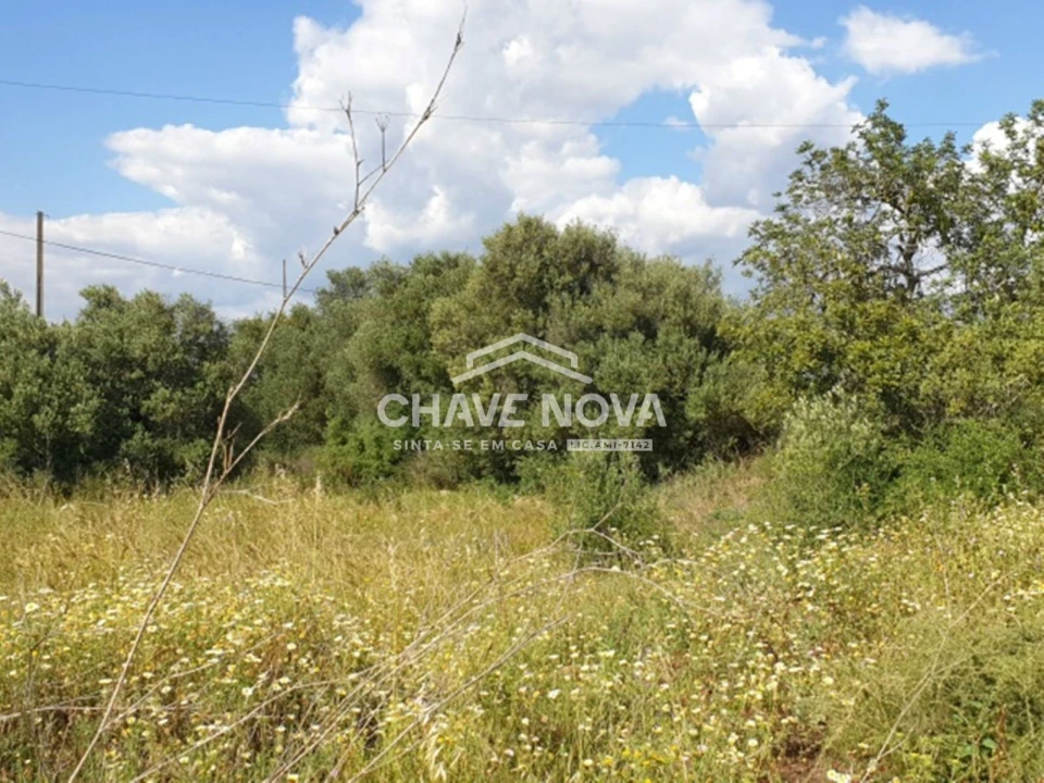Terreno para Venda em São Bartolomeu de Messines Foto 4