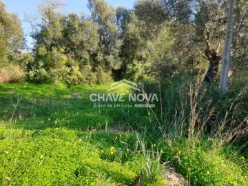 Terreno para Venda em São Bartolomeu de Messines