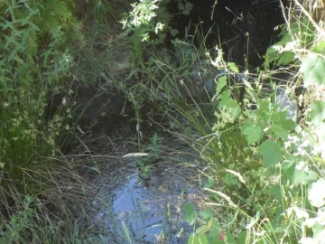 Quinta para Venda em Santa Maria de Marvão