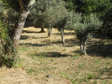 Quinta para Venda em Santa Maria de Marvão