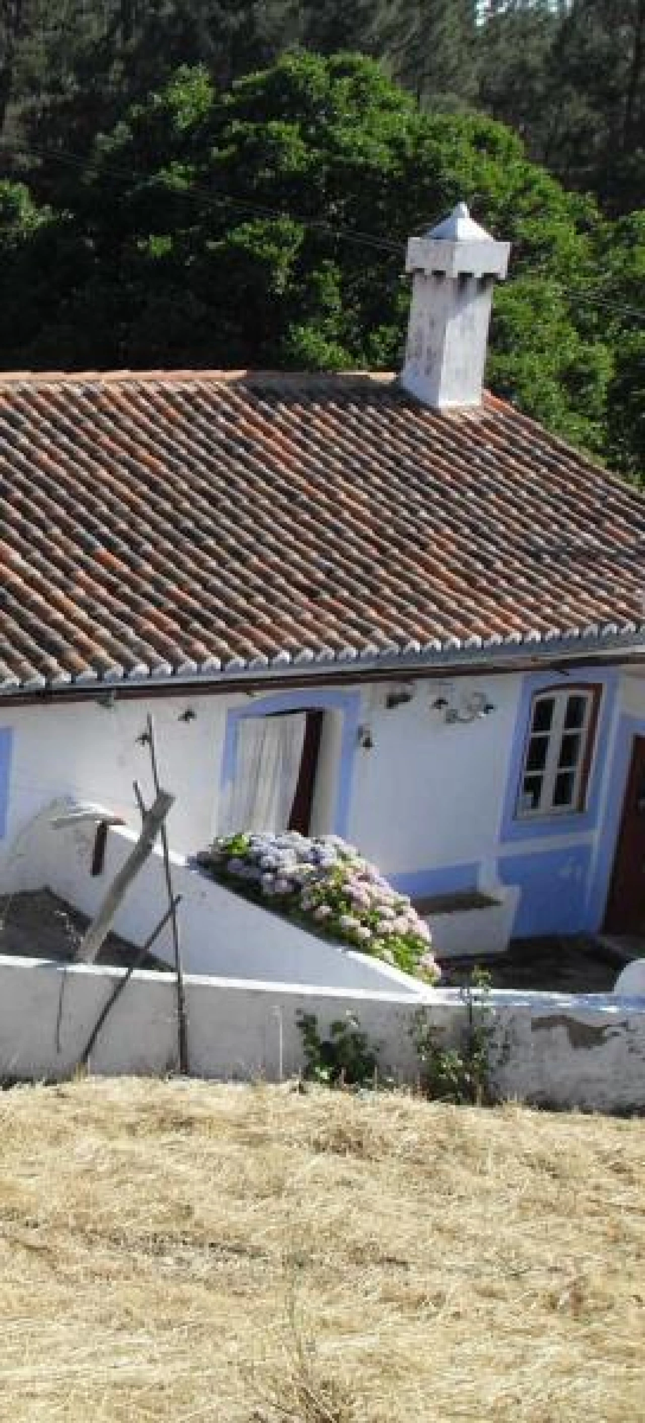 Quinta para Venda em Santa Maria de Marvão Foto 2