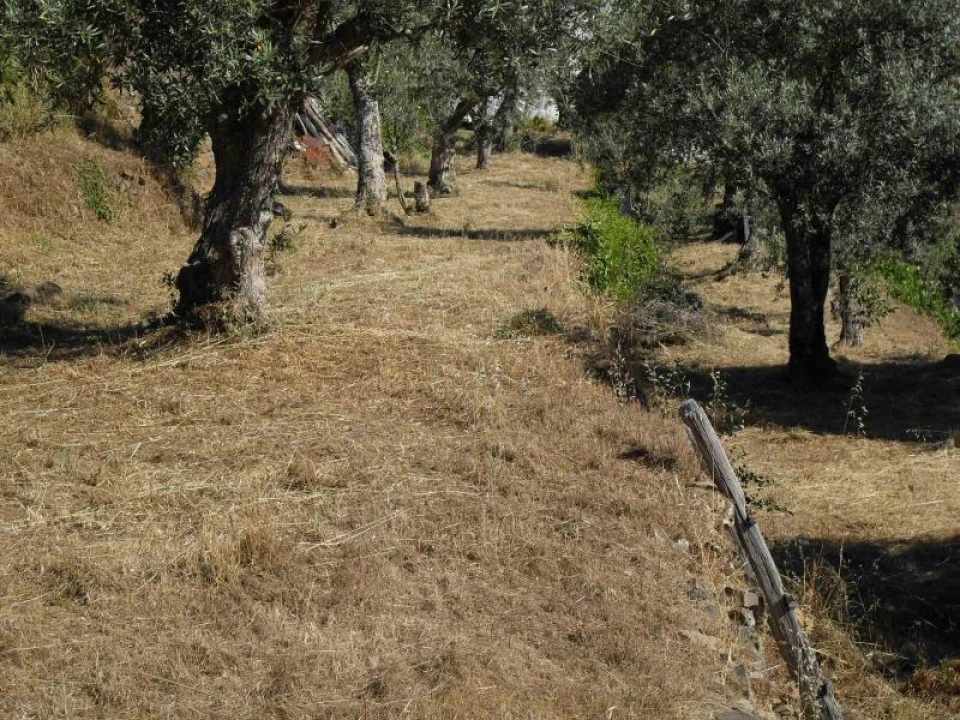 Quinta para Venda em Santa Maria de Marvão Foto 14