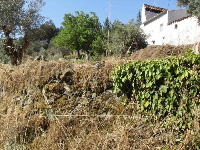 Quinta para Venda em Santa Maria de Marvão Foto 12
